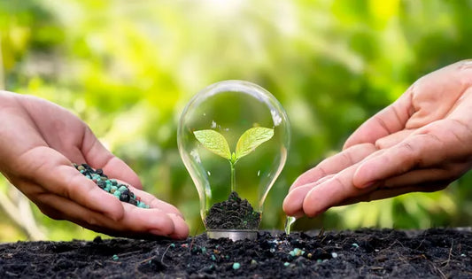 Environmental Risk Assessment