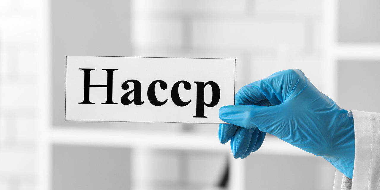 What Are the 7 Principles of HACCP? A Beginner-Friendly Guide