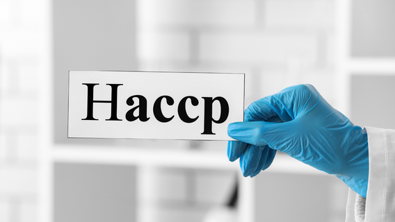 What Are the 7 Principles of HACCP? A Beginner-Friendly Guide