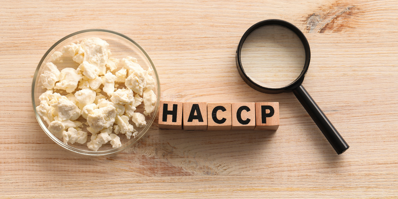 HACCP vs Food Safety Program Explained: What’s the Real Difference?