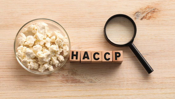 HACCP vs Food Safety Program Explained: What’s the Real Difference?