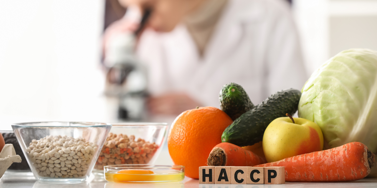 HACCP Plan Explained: A Step-by-Step Guide for Food Businesses and Manufacturers