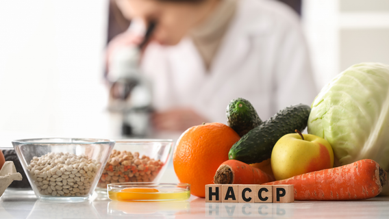 HACCP Plan Explained: A Step-by-Step Guide for Food Businesses and Manufacturers