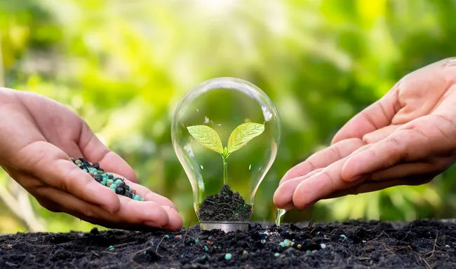 Environmental Risk Assessment