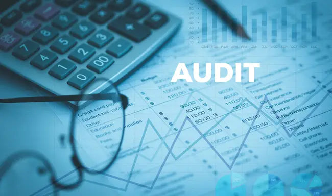 Internal Audit Skills Training